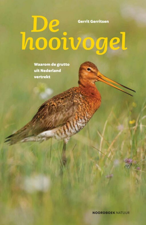Featured image for “De hooivogel”
