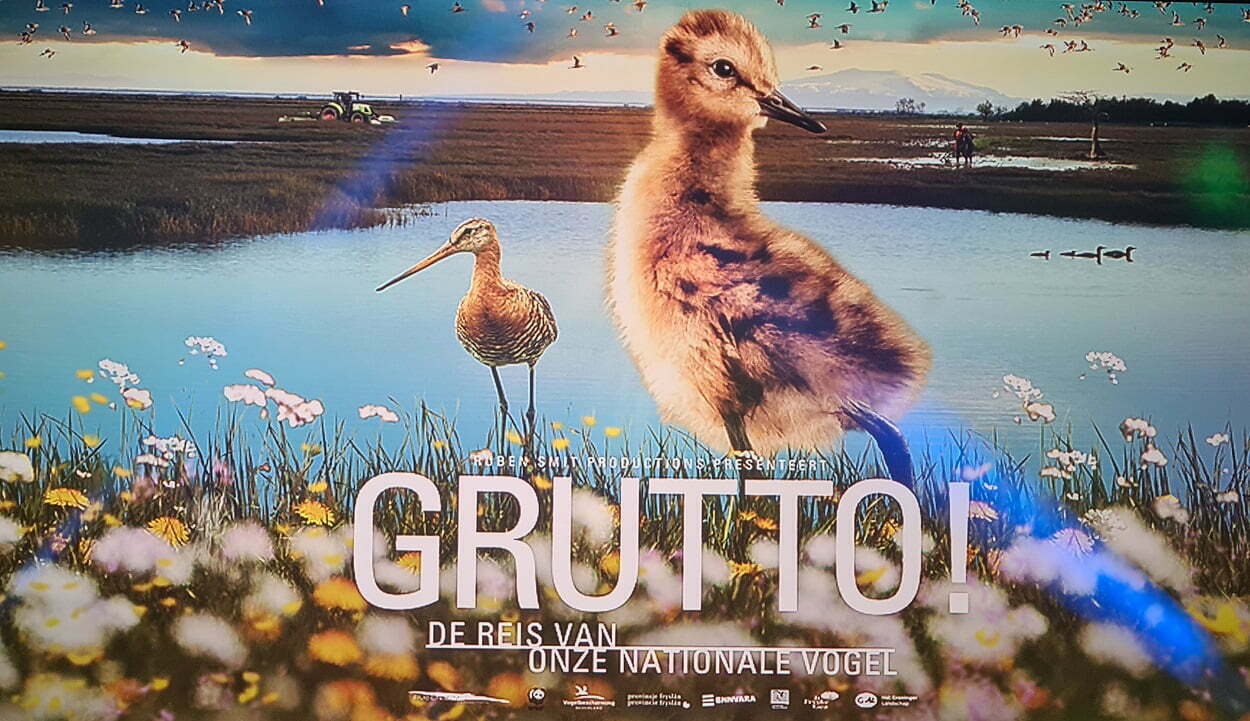 Featured image for “Gruttofilm in première”